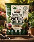 PammiPeat Potting Soil Mix 5KG – Organic All Purpose Growing Medium for Plants